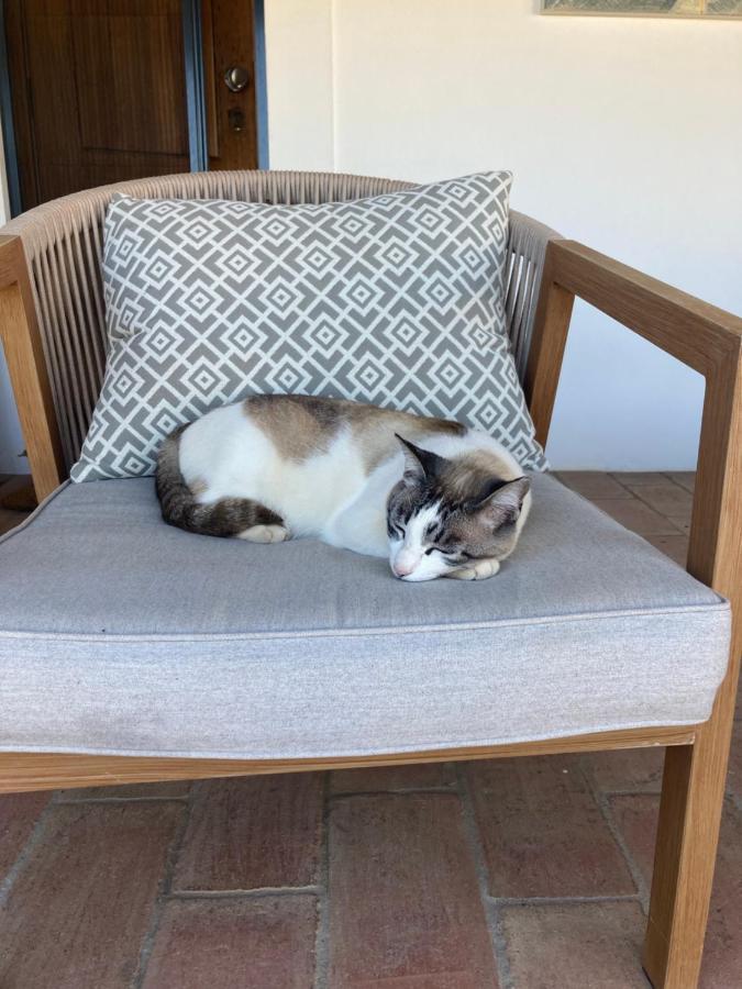 Casa Paz Taviraヴィラ エクステリア 写真